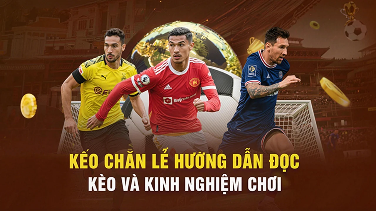 THỂ THAO trên BE88 – bước kiểm tra thực tế